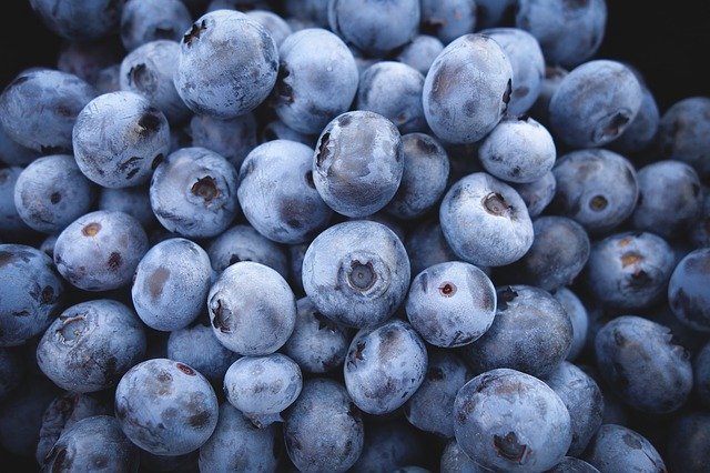 Blaubeeren sind ein Teil vom Heavy Metal Detox Smoothie