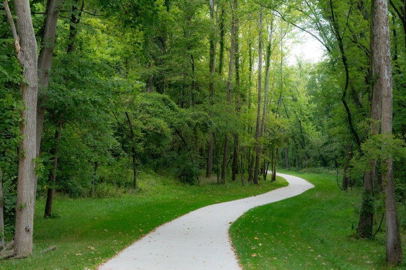 Naturweg als Symbol für den Weg mit ME/CFS und Long Covid