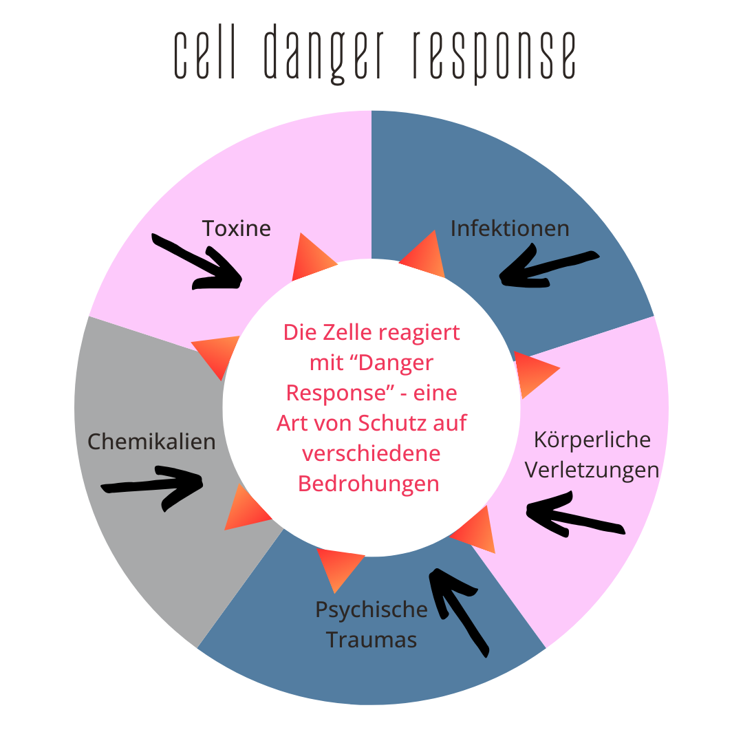 cell danger response